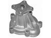 Water Pump:21010-01M00