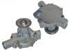 Water Pump:21010-R9025