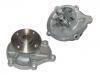 Water Pump:21010-R2025