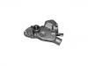 Water Pump:5019394