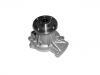 Water Pump:21010-52F00