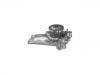 Water Pump:16100-79225