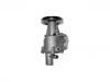 Water Pump:7762986
