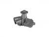 Water Pump:21010-9C600