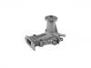 Water Pump:16100-87727