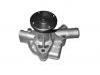 Water Pump:21010-L1126