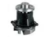 Wasserpumpe Water Pump:K800-15-010